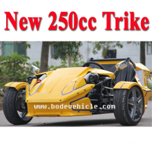 Trike da tração da CEE EEC 250CC da porcelana (MC-369)